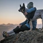 ¿Qué nos aportan las mascotas?