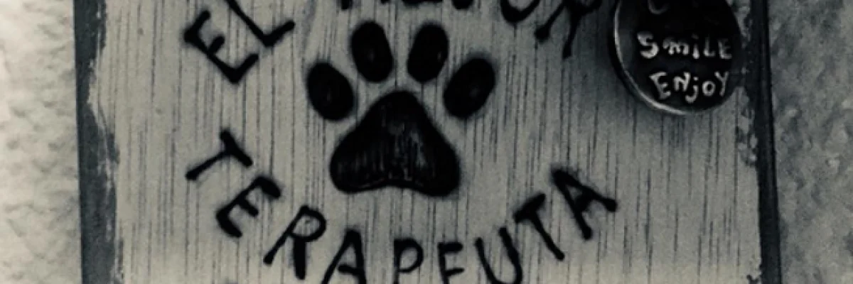 El perro en las Terapias Asistidas con Animales