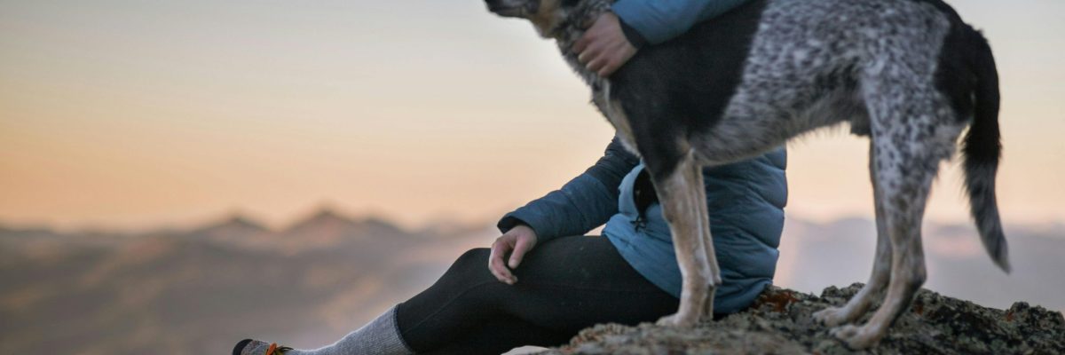 ¿QUE NOS APORTAN LAS MASCOTAS?
